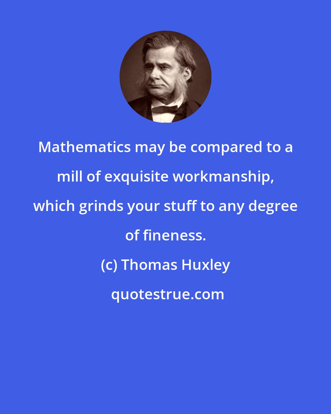 Thomas Huxley: Mathematics may be compared to a mill of exquisite workmanship, which grinds your stuff to any degree of fineness.