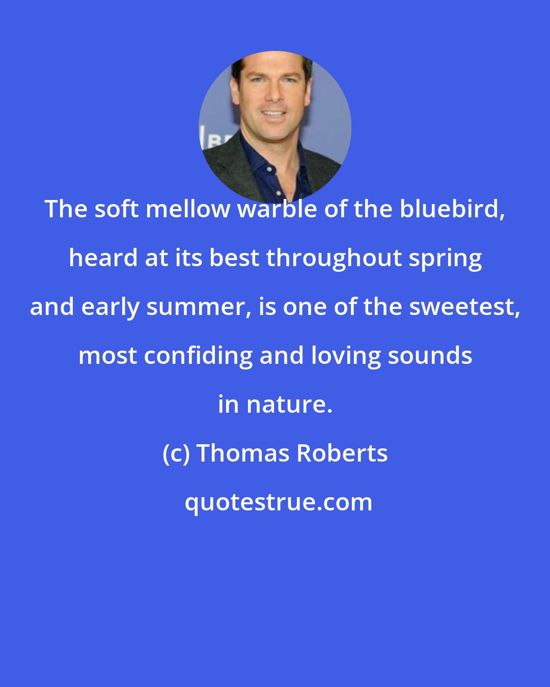 Thomas Roberts: The soft mellow warble of the bluebird, heard at its best throughout spring and early summer, is one of the sweetest, most confiding and loving sounds in nature.