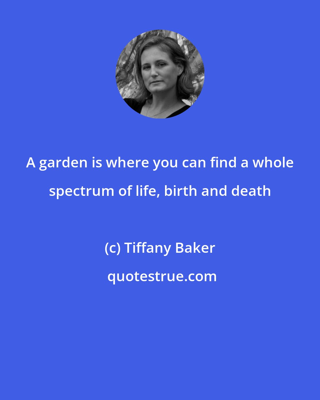 Tiffany Baker: A garden is where you can find a whole spectrum of life, birth and death
