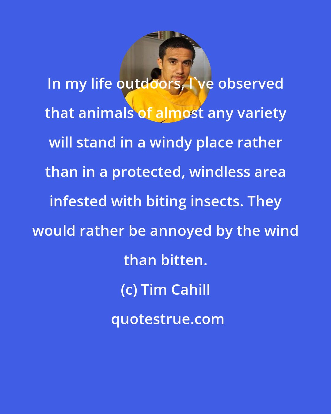 Tim Cahill: In my life outdoors, I've observed that animals of almost any variety will stand in a windy place rather than in a protected, windless area infested with biting insects. They would rather be annoyed by the wind than bitten.