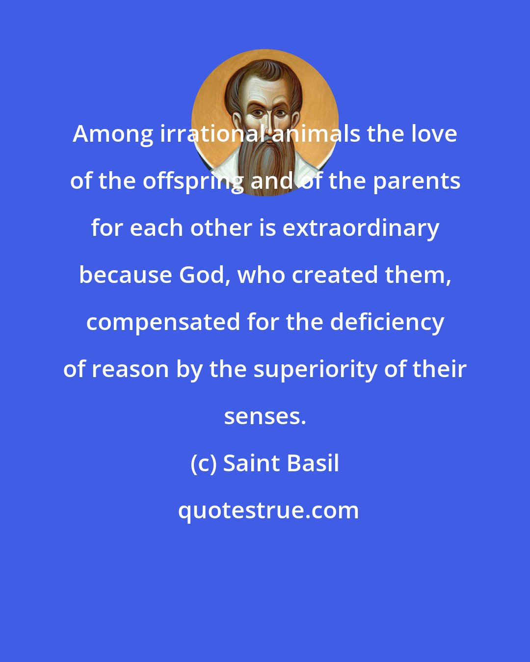 Saint Basil: Among irrational animals the love of the offspring and of the parents for each other is extraordinary because God, who created them, compensated for the deficiency of reason by the superiority of their senses.