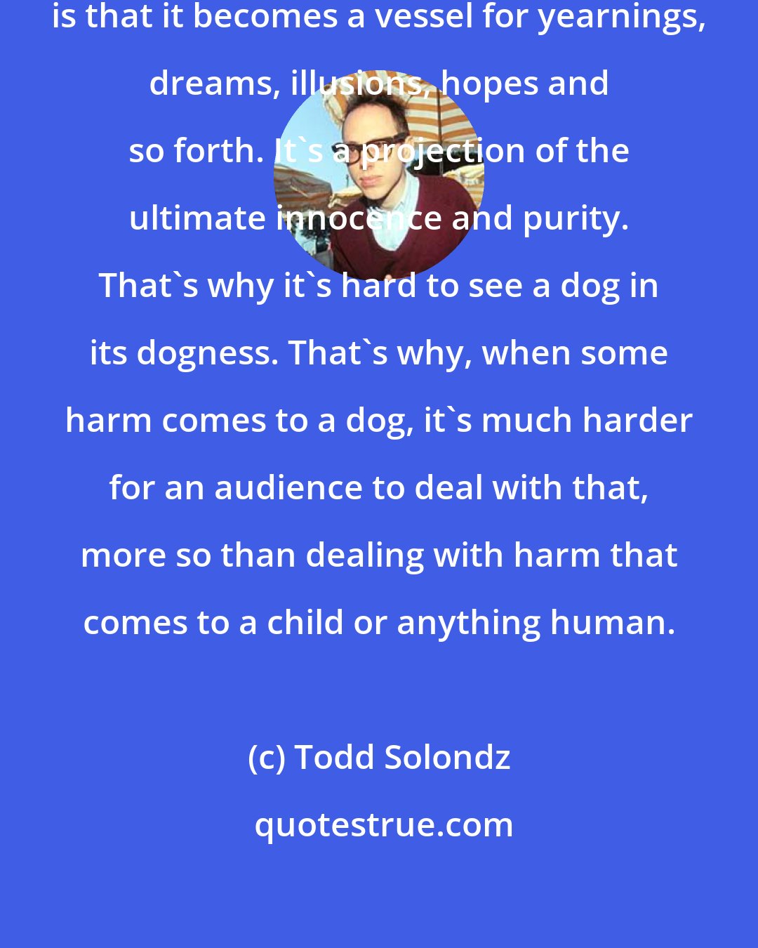 Todd Solondz: So much of what a pet is about for us is that it becomes a vessel for yearnings, dreams, illusions, hopes and so forth. It's a projection of the ultimate innocence and purity. That's why it's hard to see a dog in its dogness. That's why, when some harm comes to a dog, it's much harder for an audience to deal with that, more so than dealing with harm that comes to a child or anything human.