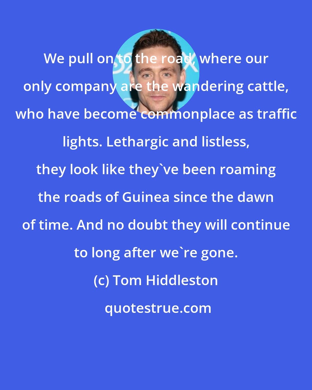 Tom Hiddleston: We pull on to the road, where our only company are the wandering cattle, who have become commonplace as traffic lights. Lethargic and listless, they look like they've been roaming the roads of Guinea since the dawn of time. And no doubt they will continue to long after we're gone.