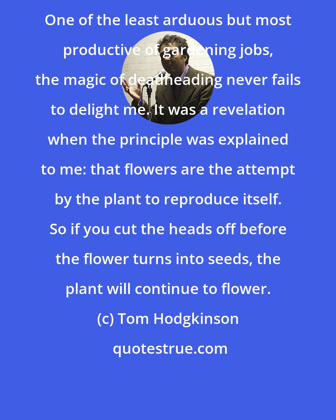 Tom Hodgkinson: One of the least arduous but most productive of gardening jobs, the magic of deadheading never fails to delight me. It was a revelation when the principle was explained to me: that flowers are the attempt by the plant to reproduce itself. So if you cut the heads off before the flower turns into seeds, the plant will continue to flower.