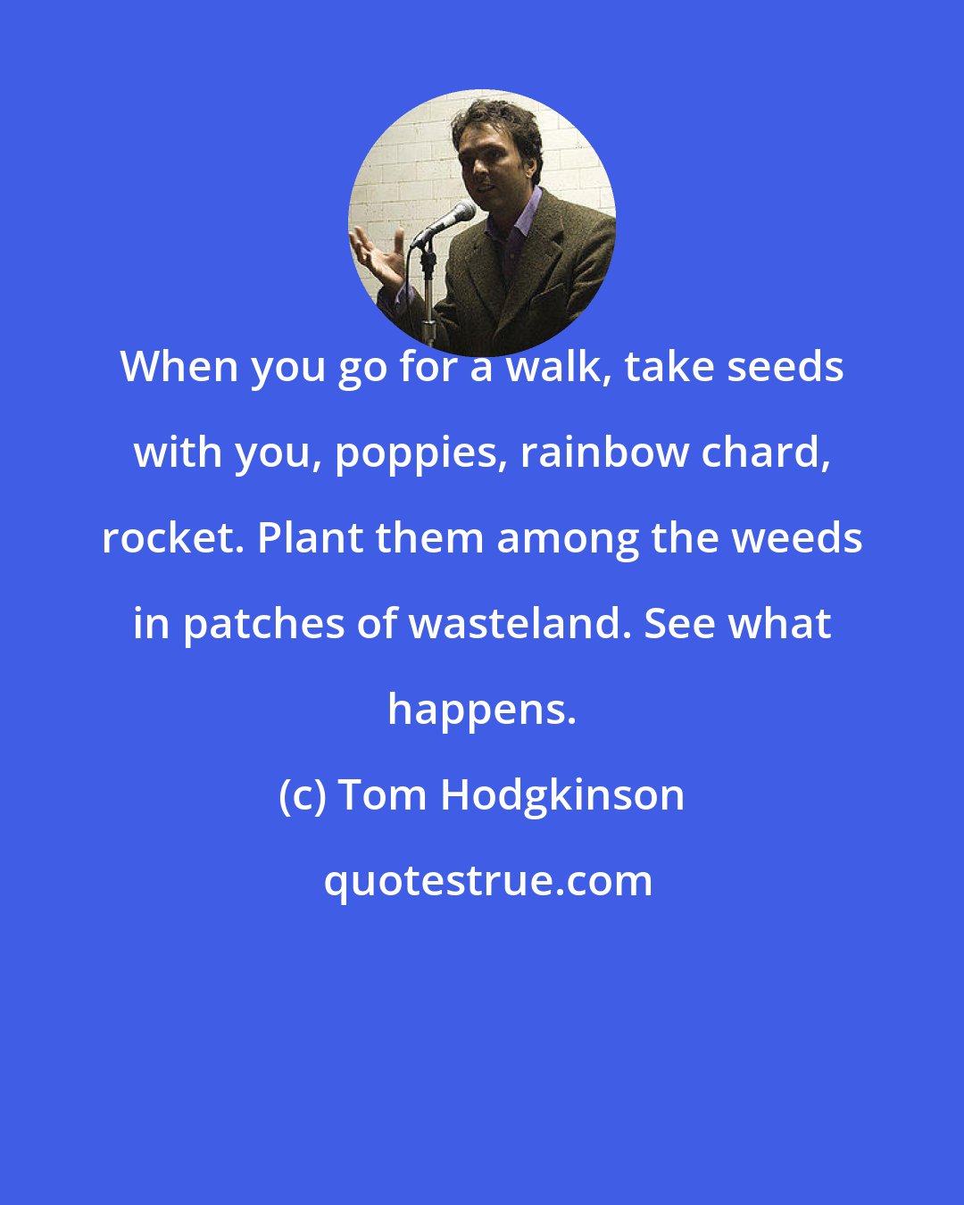 Tom Hodgkinson: When you go for a walk, take seeds with you, poppies, rainbow chard, rocket. Plant them among the weeds in patches of wasteland. See what happens.