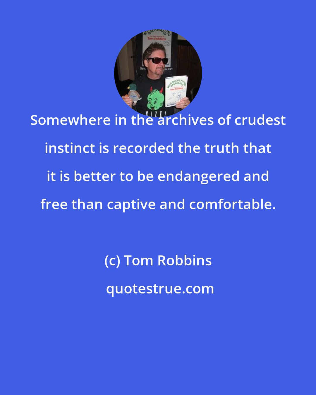 Tom Robbins: Somewhere in the archives of crudest instinct is recorded the truth that it is better to be endangered and free than captive and comfortable.