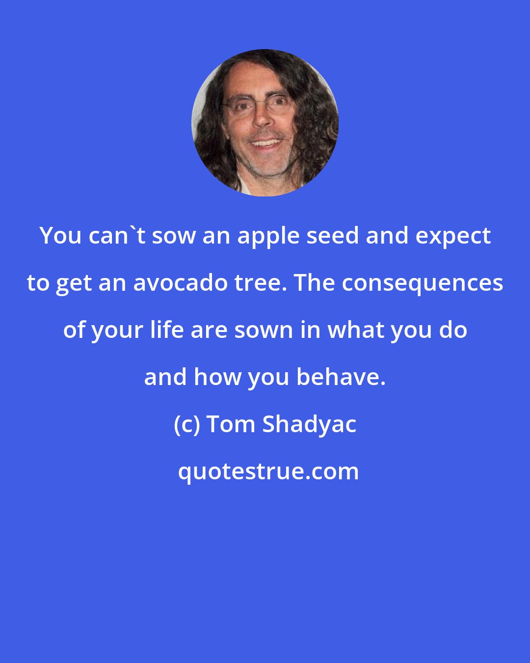 Tom Shadyac: You can't sow an apple seed and expect to get an avocado tree. The consequences of your life are sown in what you do and how you behave.