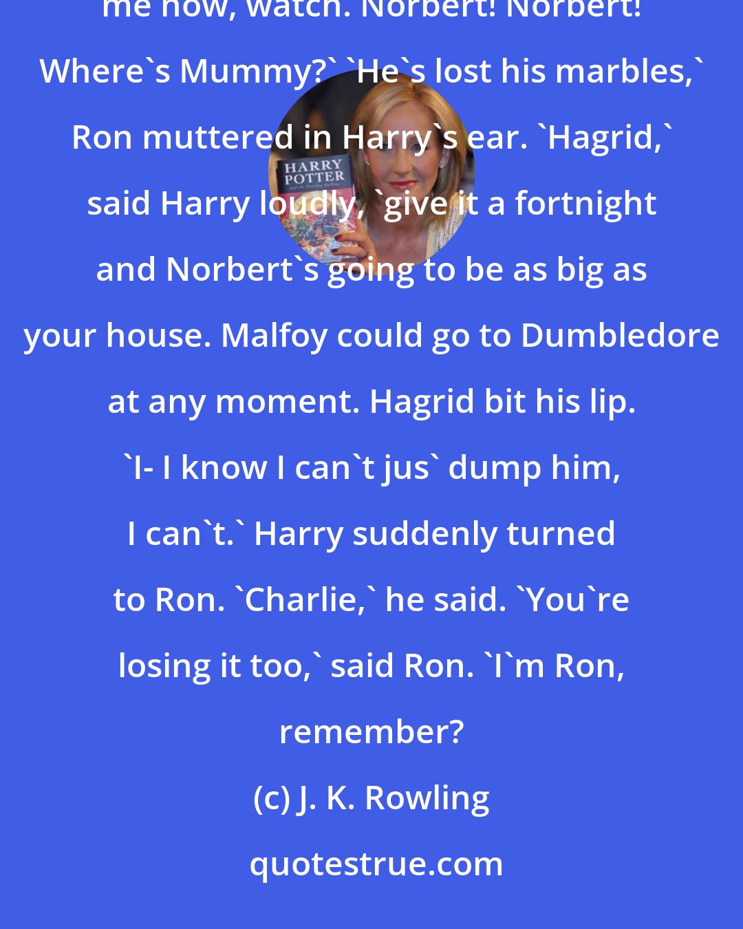 J. K. Rowling: I've decided to call him Norbert,' said Hagrid, looking at the dragon with misty eyes. 'He really knows me now, watch. Norbert! Norbert! Where's Mummy?' 'He's lost his marbles,' Ron muttered in Harry's ear. 'Hagrid,' said Harry loudly, 'give it a fortnight and Norbert's going to be as big as your house. Malfoy could go to Dumbledore at any moment. Hagrid bit his lip. 'I- I know I can't jus' dump him, I can't.' Harry suddenly turned to Ron. 'Charlie,' he said. 'You're losing it too,' said Ron. 'I'm Ron, remember?