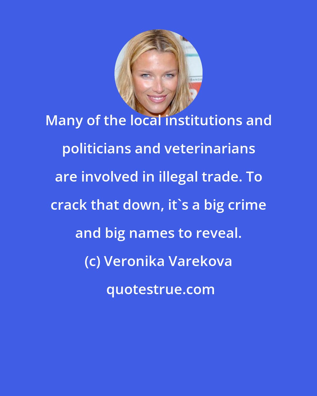 Veronika Varekova: Many of the local institutions and politicians and veterinarians are involved in illegal trade. To crack that down, it's a big crime and big names to reveal.