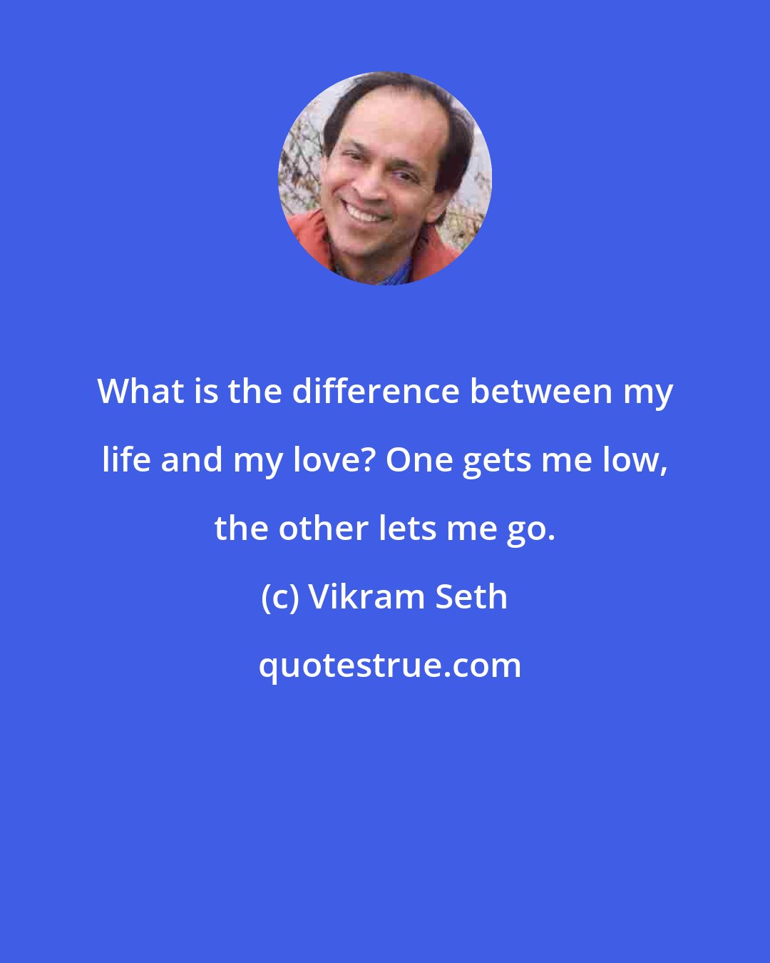 Vikram Seth: What is the difference between my life and my love? One gets me low, the other lets me go.