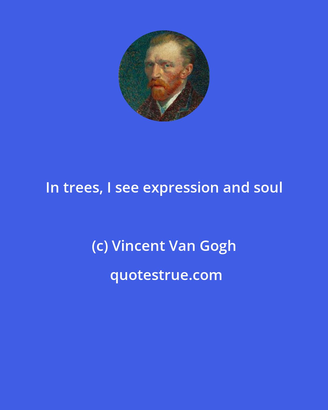 Vincent Van Gogh: In trees, I see expression and soul
