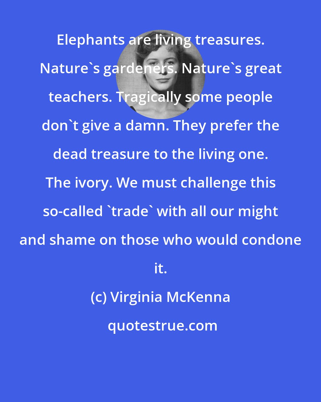 Virginia McKenna: Elephants are living treasures. Nature's gardeners. Nature's great teachers. Tragically some people don't give a damn. They prefer the dead treasure to the living one. The ivory. We must challenge this so-called 'trade' with all our might and shame on those who would condone it.
