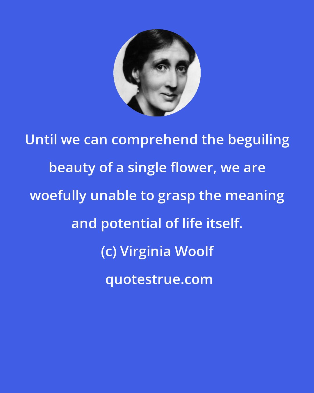 Virginia Woolf: Until we can comprehend the beguiling beauty of a single flower, we are woefully unable to grasp the meaning and potential of life itself.
