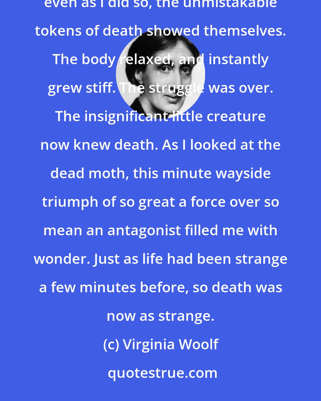 Virginia Woolf: Again, somehow, one saw life, a pure bead. I lifted the pencil again, useless though I knew it to be. But even as I did so, the unmistakable tokens of death showed themselves. The body relaxed, and instantly grew stiff. The struggle was over. The insignificant little creature now knew death. As I looked at the dead moth, this minute wayside triumph of so great a force over so mean an antagonist filled me with wonder. Just as life had been strange a few minutes before, so death was now as strange.