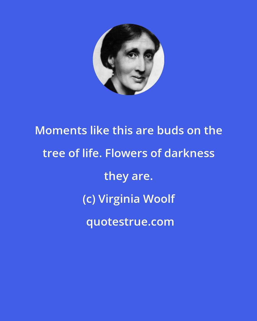 Virginia Woolf: Moments like this are buds on the tree of life. Flowers of darkness they are.