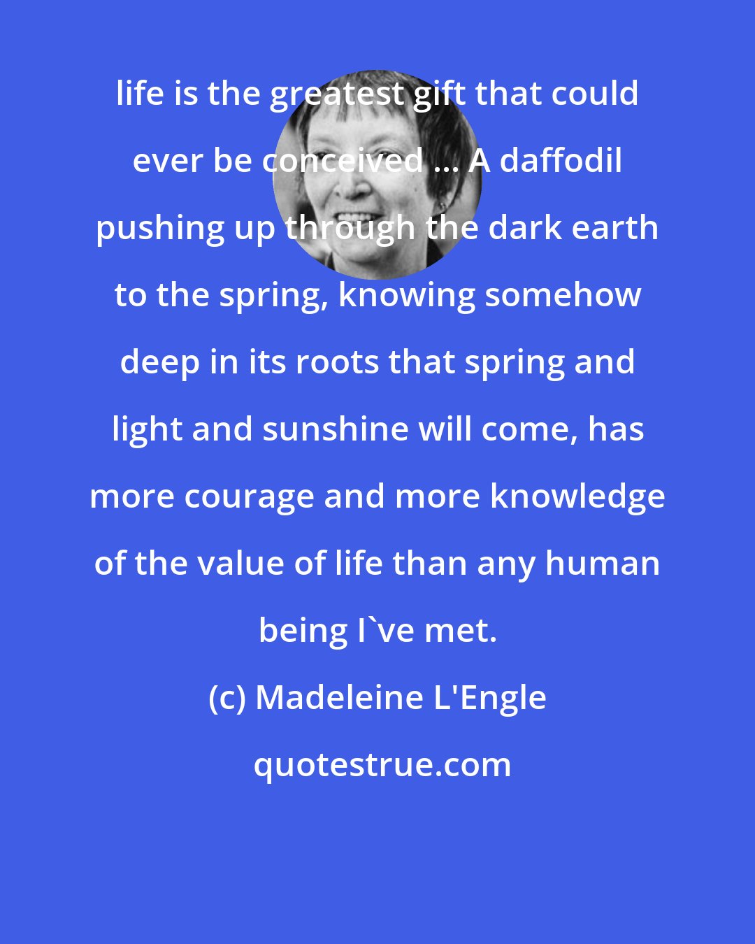 Madeleine L'Engle: life is the greatest gift that could ever be conceived ... A daffodil pushing up through the dark earth to the spring, knowing somehow deep in its roots that spring and light and sunshine will come, has more courage and more knowledge of the value of life than any human being I've met.