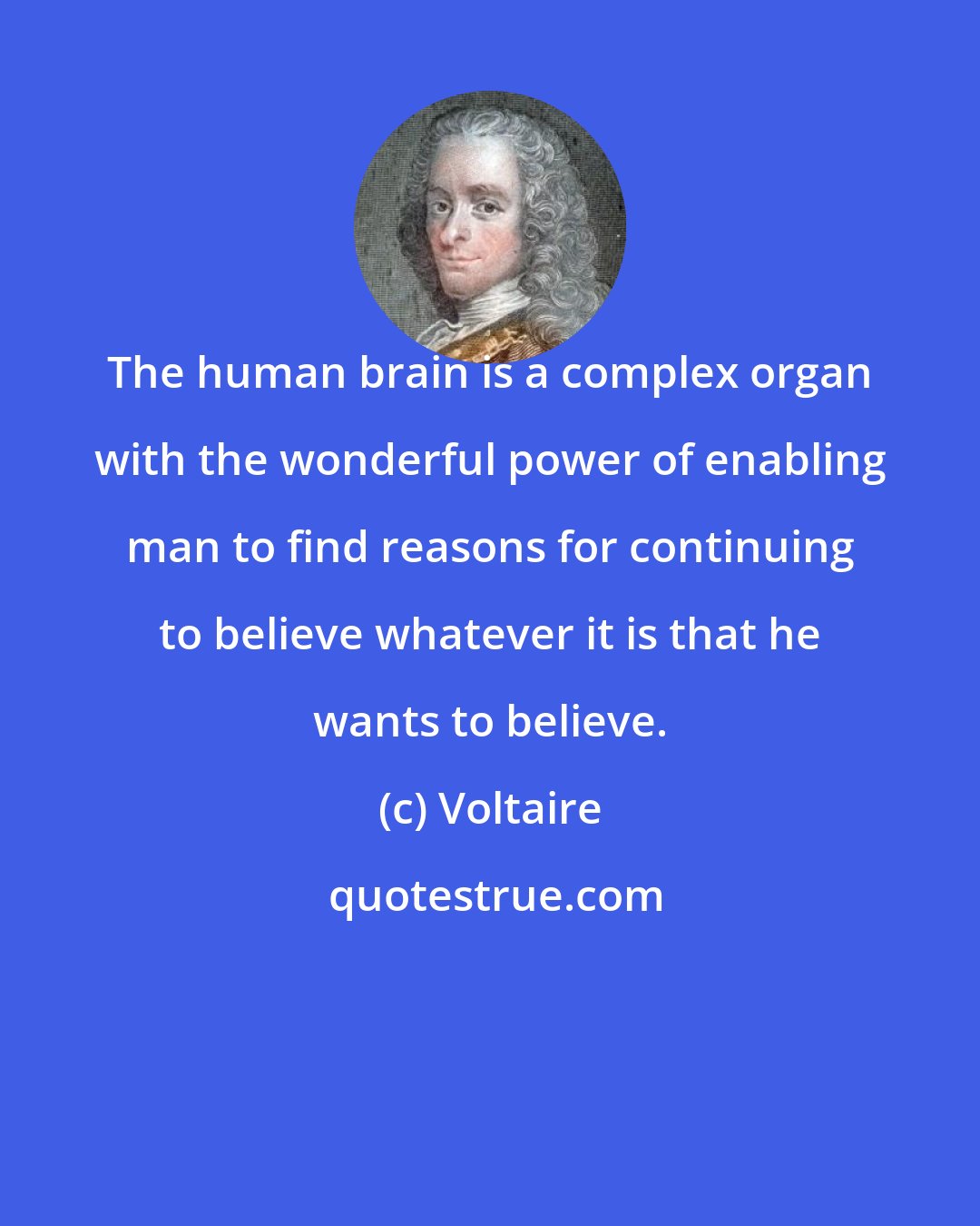 Voltaire: The human brain is a complex organ with the wonderful power of enabling man to find reasons for continuing to believe whatever it is that he wants to believe.