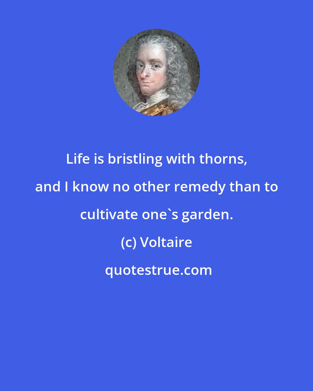 Voltaire: Life is bristling with thorns, and I know no other remedy than to cultivate one's garden.