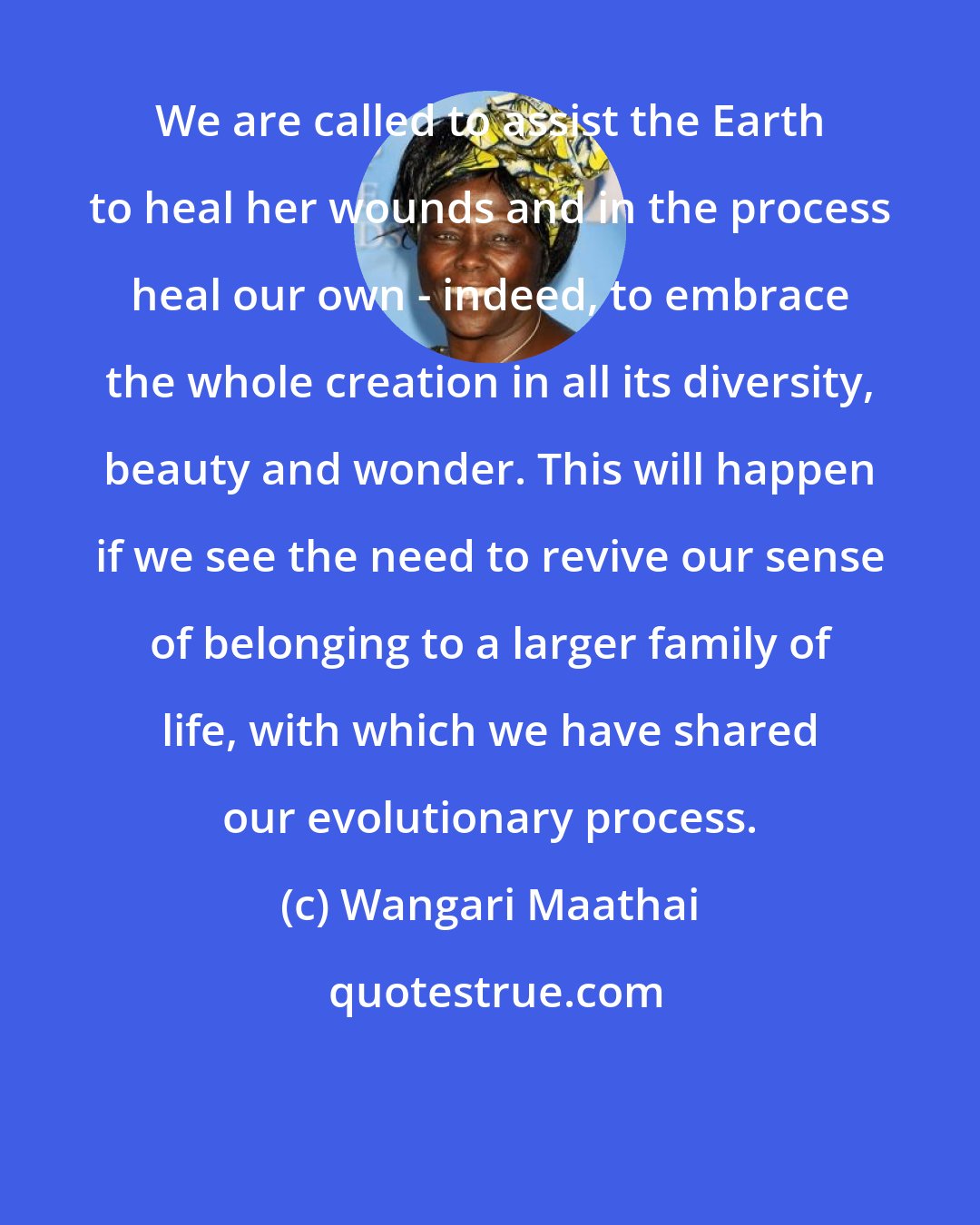 Wangari Maathai: We are called to assist the Earth to heal her wounds and in the process heal our own - indeed, to embrace the whole creation in all its diversity, beauty and wonder. This will happen if we see the need to revive our sense of belonging to a larger family of life, with which we have shared our evolutionary process.