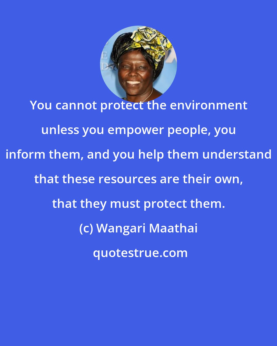 Wangari Maathai: You cannot protect the environment unless you empower people, you inform them, and you help them understand that these resources are their own, that they must protect them.
