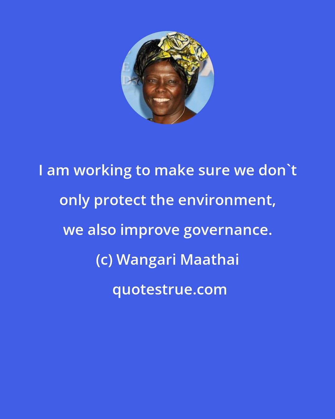 Wangari Maathai: I am working to make sure we don't only protect the environment, we also improve governance.