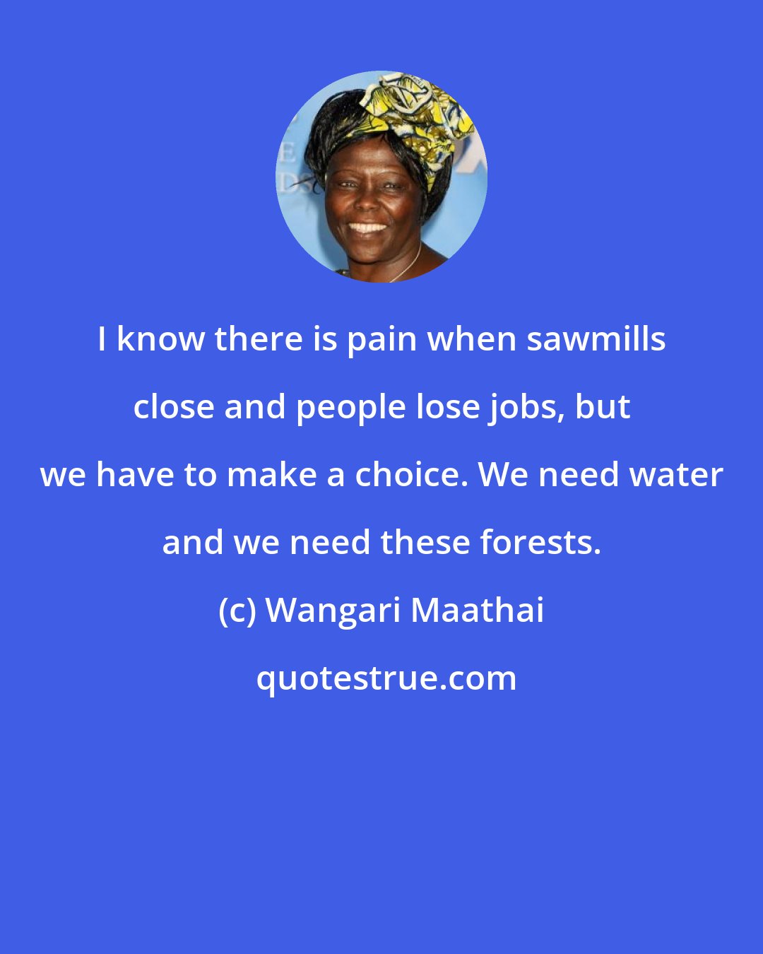 Wangari Maathai: I know there is pain when sawmills close and people lose jobs, but we have to make a choice. We need water and we need these forests.