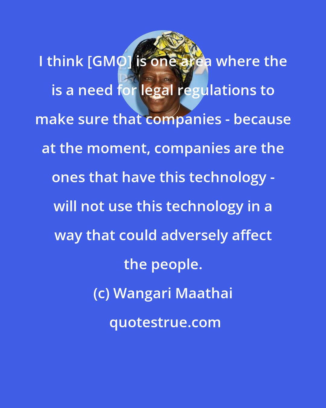 Wangari Maathai: I think [GMO] is one area where the is a need for legal regulations to make sure that companies - because at the moment, companies are the ones that have this technology - will not use this technology in a way that could adversely affect the people.