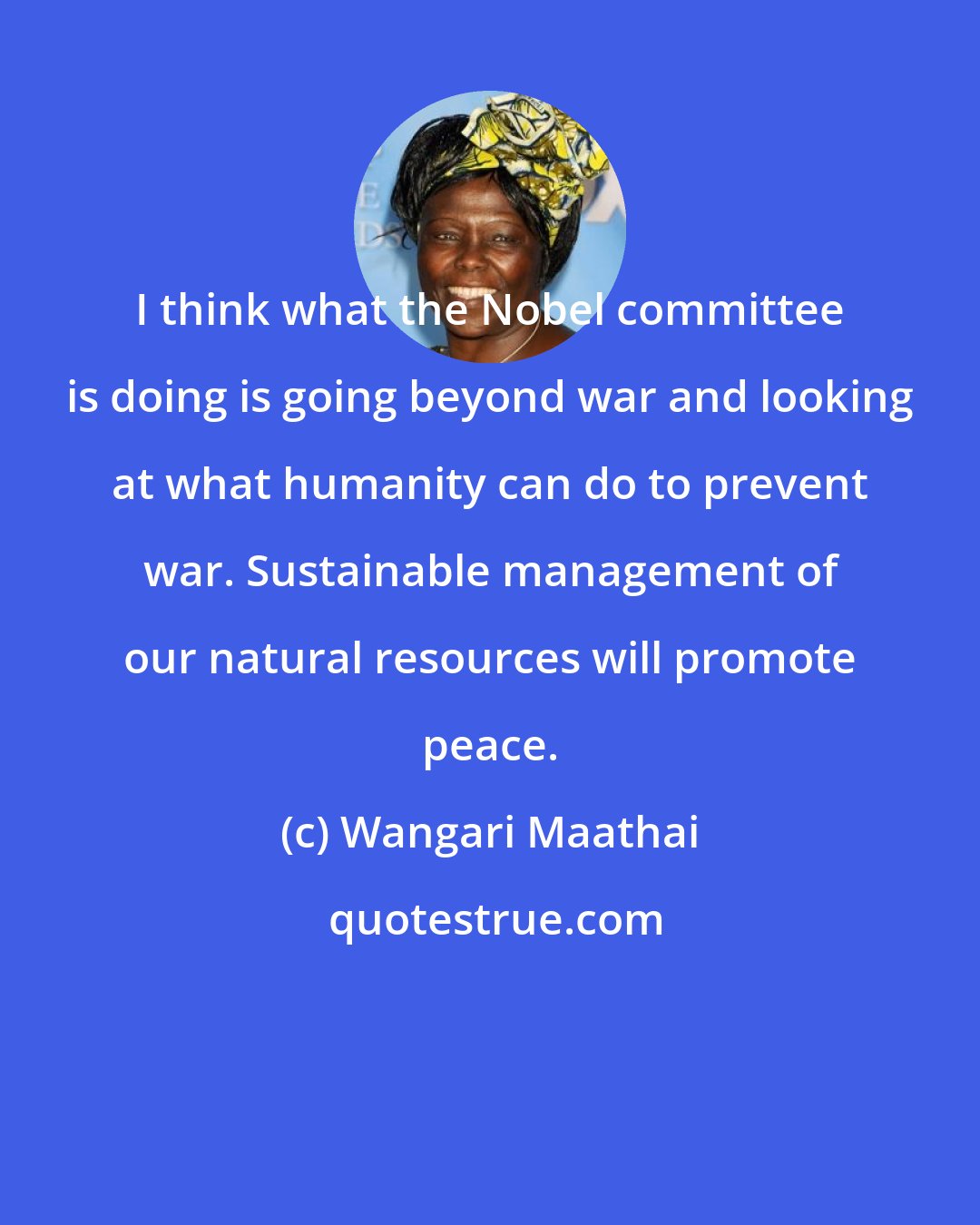 Wangari Maathai: I think what the Nobel committee is doing is going beyond war and looking at what humanity can do to prevent war. Sustainable management of our natural resources will promote peace.