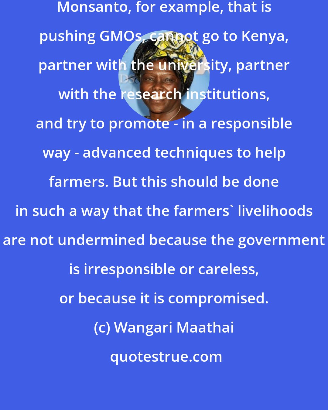 Wangari Maathai: There is no reason why a company like Monsanto, for example, that is pushing GMOs, cannot go to Kenya, partner with the university, partner with the research institutions, and try to promote - in a responsible way - advanced techniques to help farmers. But this should be done in such a way that the farmers' livelihoods are not undermined because the government is irresponsible or careless, or because it is compromised.