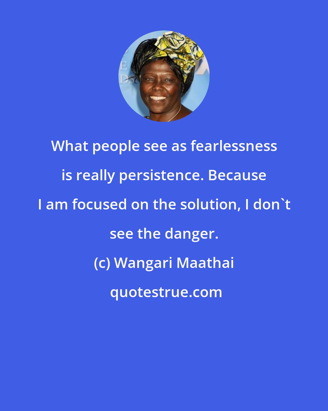 Wangari Maathai: What people see as fearlessness is really persistence. Because I am focused on the solution, I don't see the danger.