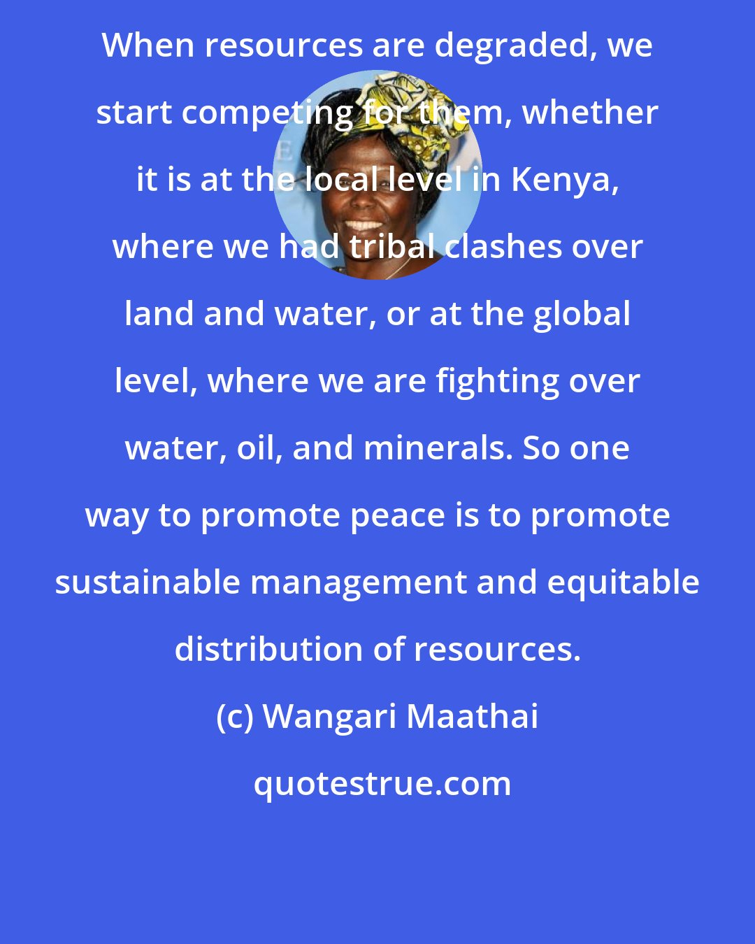 Wangari Maathai: When resources are degraded, we start competing for them, whether it is at the local level in Kenya, where we had tribal clashes over land and water, or at the global level, where we are fighting over water, oil, and minerals. So one way to promote peace is to promote sustainable management and equitable distribution of resources.