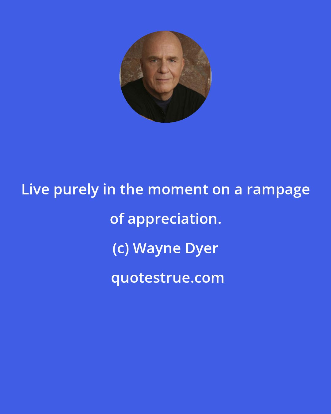 Wayne Dyer: Live purely in the moment on a rampage of appreciation.