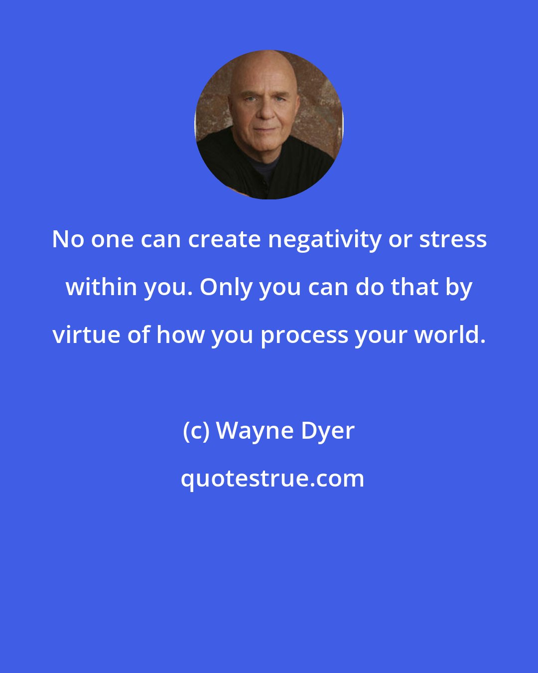 Wayne Dyer: No one can create negativity or stress within you. Only you can do that by virtue of how you process your world.