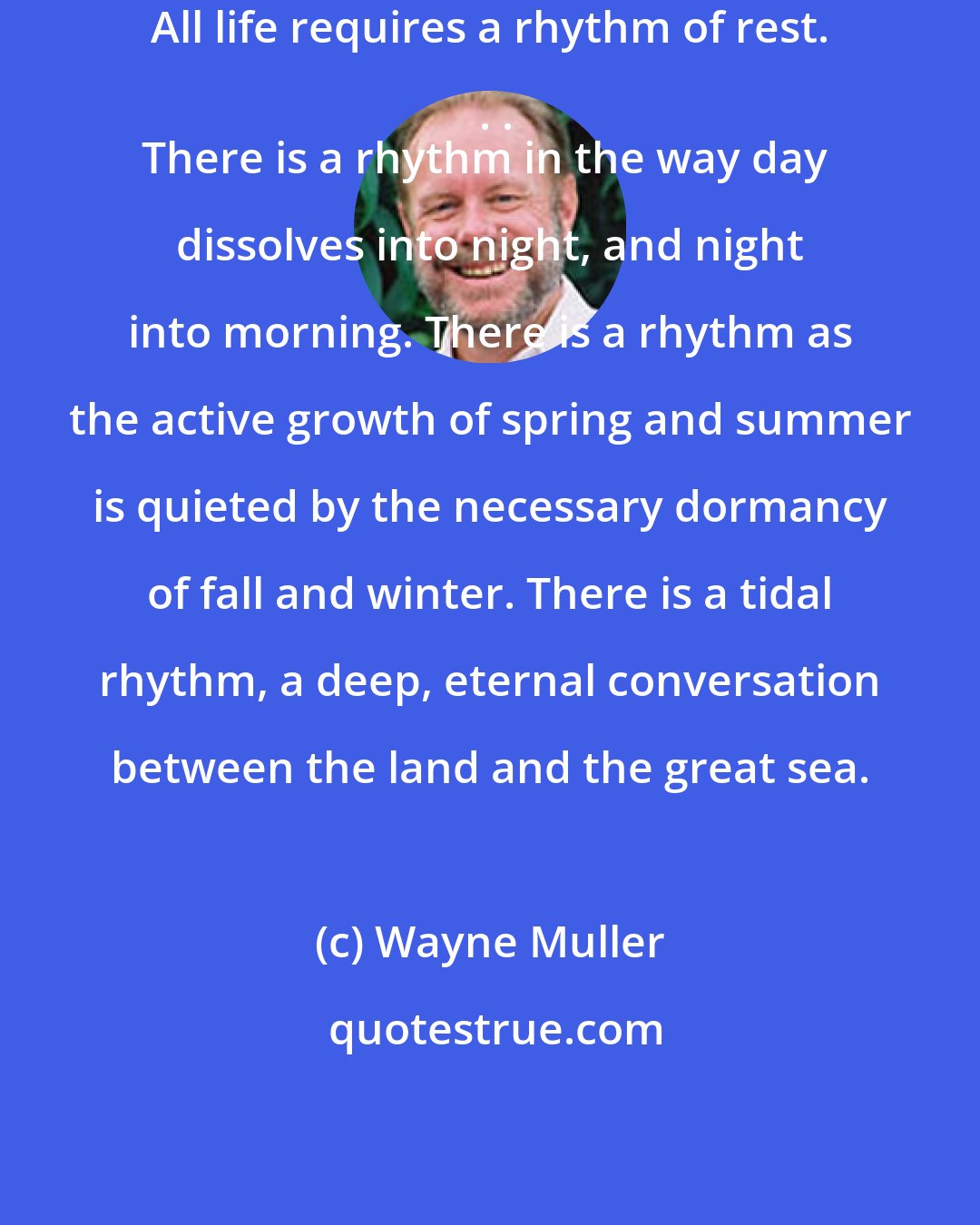 Wayne Muller: All life requires a rhythm of rest. . .
There is a rhythm in the way day dissolves into night, and night into morning. There is a rhythm as the active growth of spring and summer is quieted by the necessary dormancy of fall and winter. There is a tidal rhythm, a deep, eternal conversation between the land and the great sea.