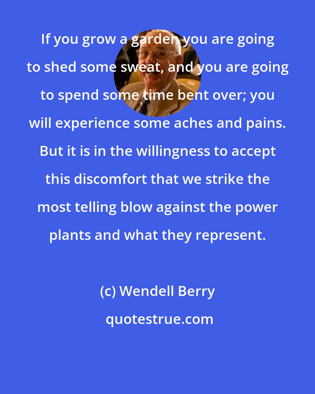 Wendell Berry: If you grow a garden you are going to shed some sweat, and you are going to spend some time bent over; you will experience some aches and pains. But it is in the willingness to accept this discomfort that we strike the most telling blow against the power plants and what they represent.