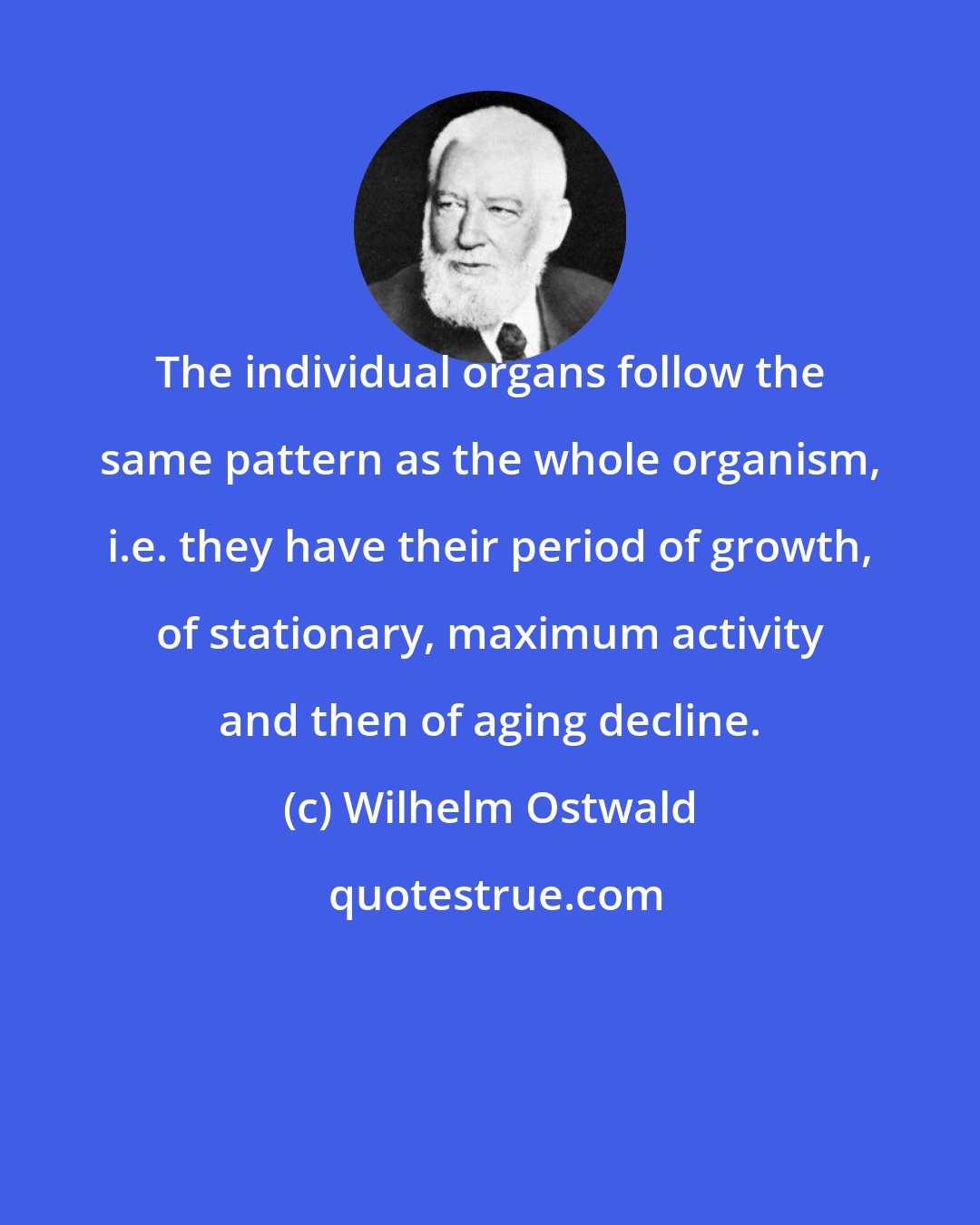 Wilhelm Ostwald: The individual organs follow the same pattern as the whole organism, i.e. they have their period of growth, of stationary, maximum activity and then of aging decline.