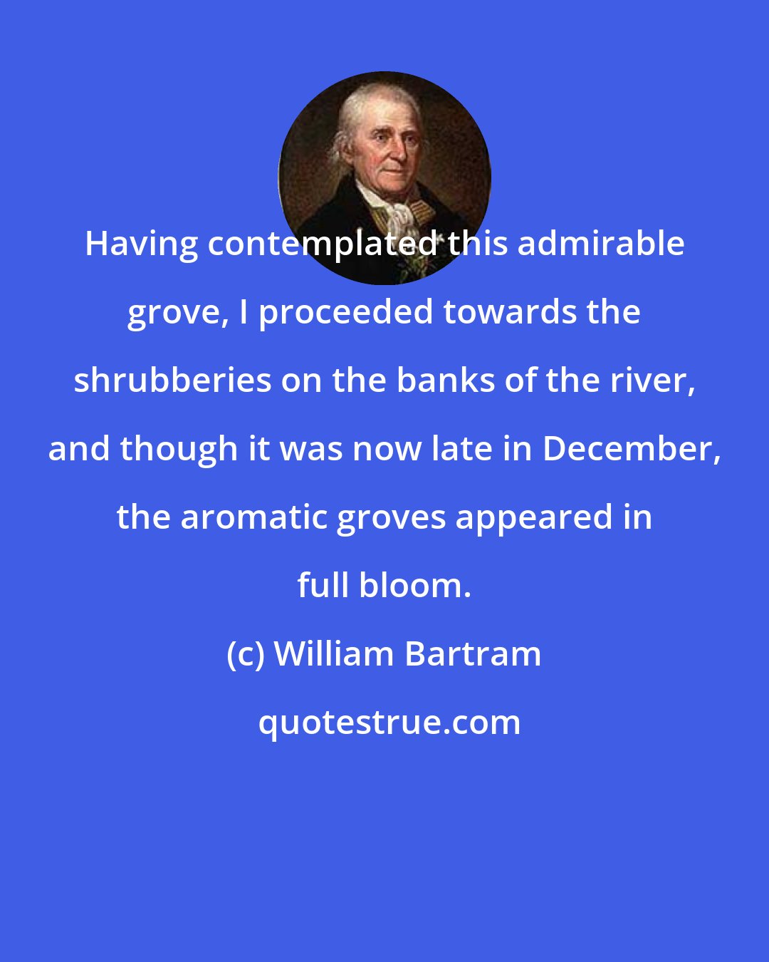 William Bartram: Having contemplated this admirable grove, I proceeded towards the shrubberies on the banks of the river, and though it was now late in December, the aromatic groves appeared in full bloom.