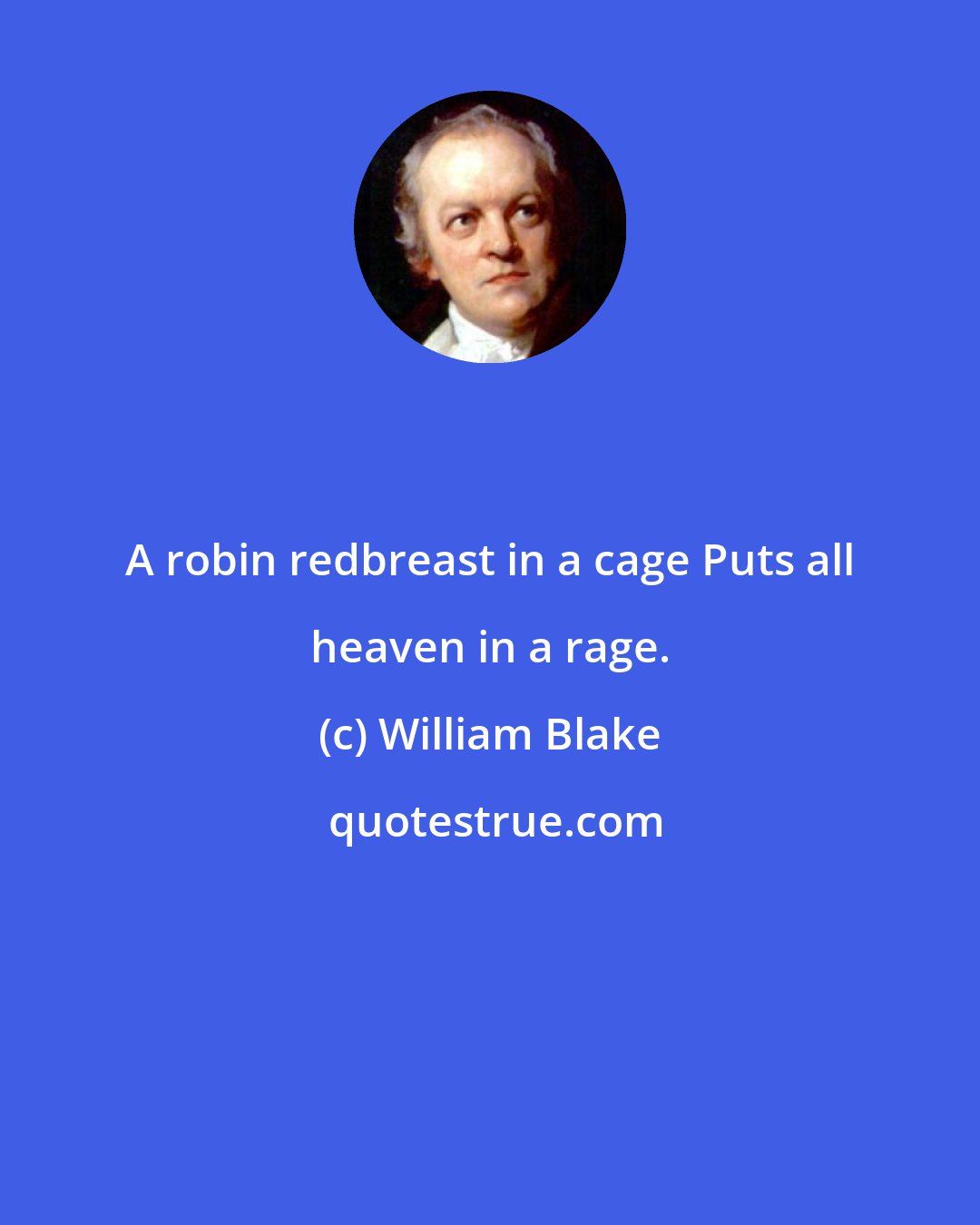William Blake: A robin redbreast in a cage Puts all heaven in a rage.
