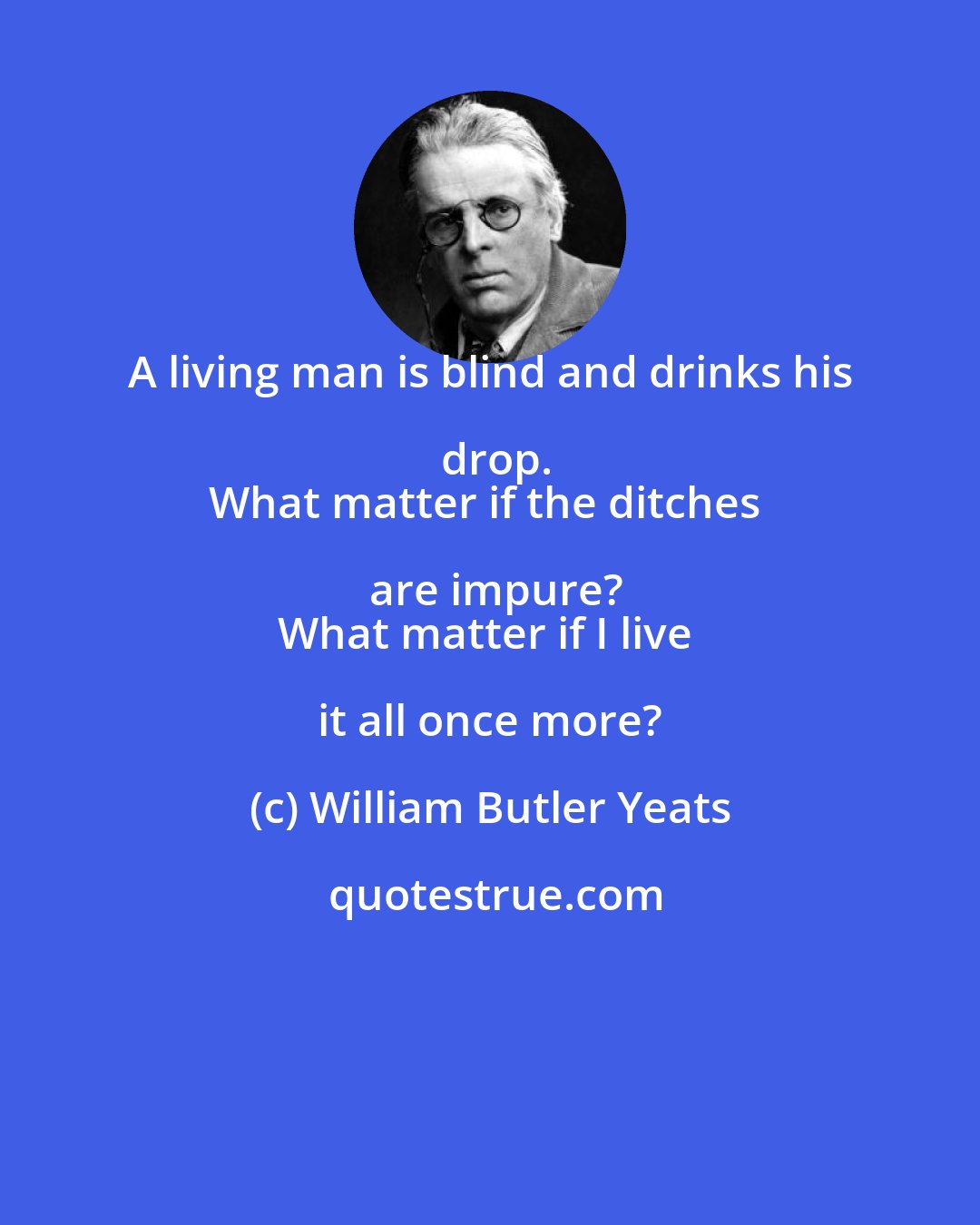 William Butler Yeats: A living man is blind and drinks his drop.
What matter if the ditches are impure?
What matter if I live it all once more?