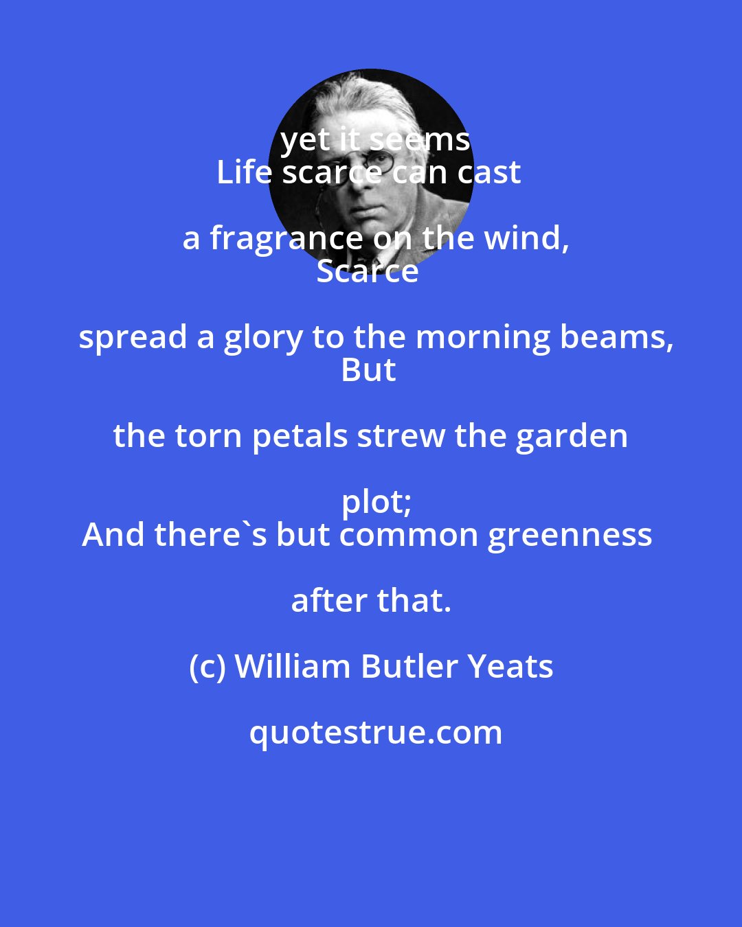 William Butler Yeats: yet it seems
Life scarce can cast a fragrance on the wind,
Scarce spread a glory to the morning beams,
But the torn petals strew the garden plot;
And there's but common greenness after that.