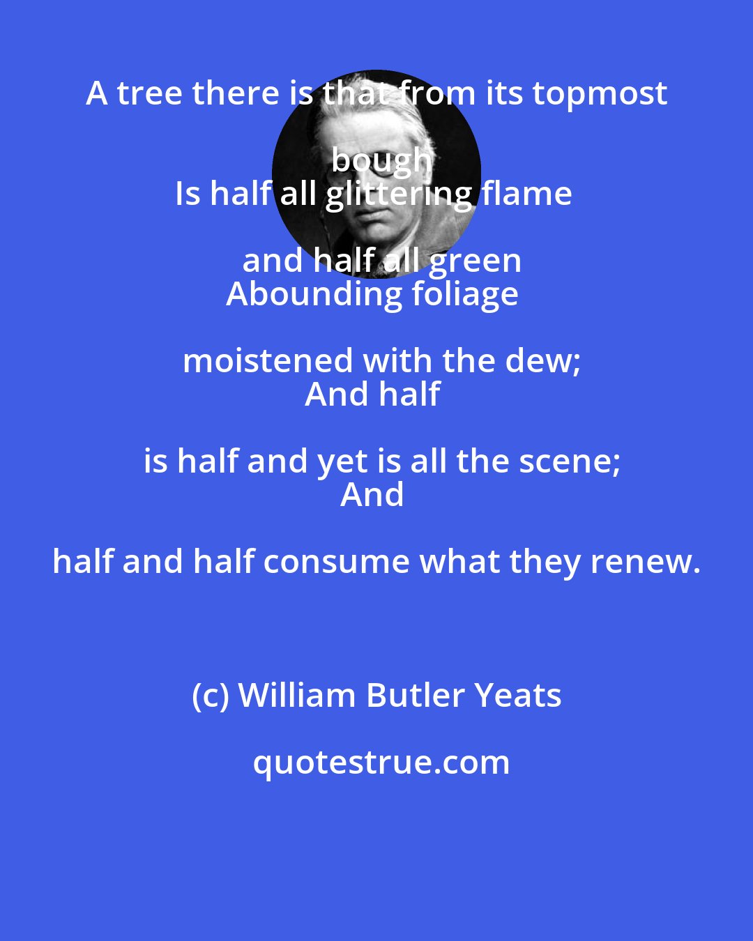 William Butler Yeats: A tree there is that from its topmost bough
Is half all glittering flame and half all green
Abounding foliage moistened with the dew;
And half is half and yet is all the scene;
And half and half consume what they renew.