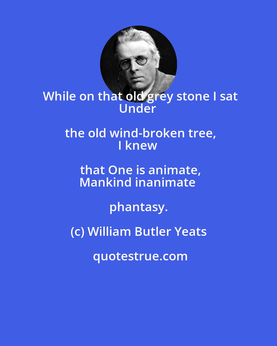 William Butler Yeats: While on that old grey stone I sat
Under the old wind-broken tree,
I knew that One is animate,
Mankind inanimate phantasy.