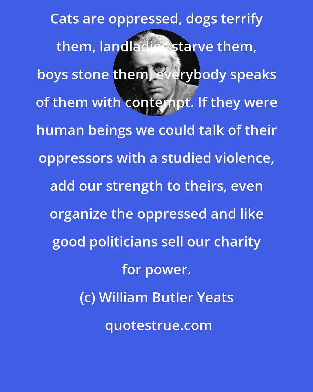 William Butler Yeats: Cats are oppressed, dogs terrify them, landladies starve them, boys stone them, everybody speaks of them with contempt. If they were human beings we could talk of their oppressors with a studied violence, add our strength to theirs, even organize the oppressed and like good politicians sell our charity for power.
