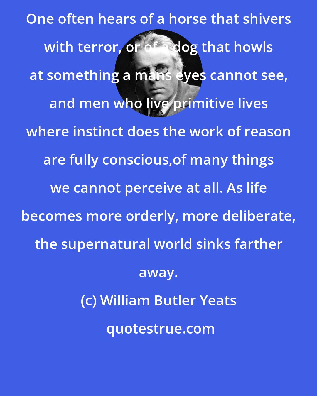 William Butler Yeats: One often hears of a horse that shivers with terror, or of a dog that howls at something a mans eyes cannot see, and men who live primitive lives where instinct does the work of reason are fully conscious,of many things we cannot perceive at all. As life becomes more orderly, more deliberate, the supernatural world sinks farther away.