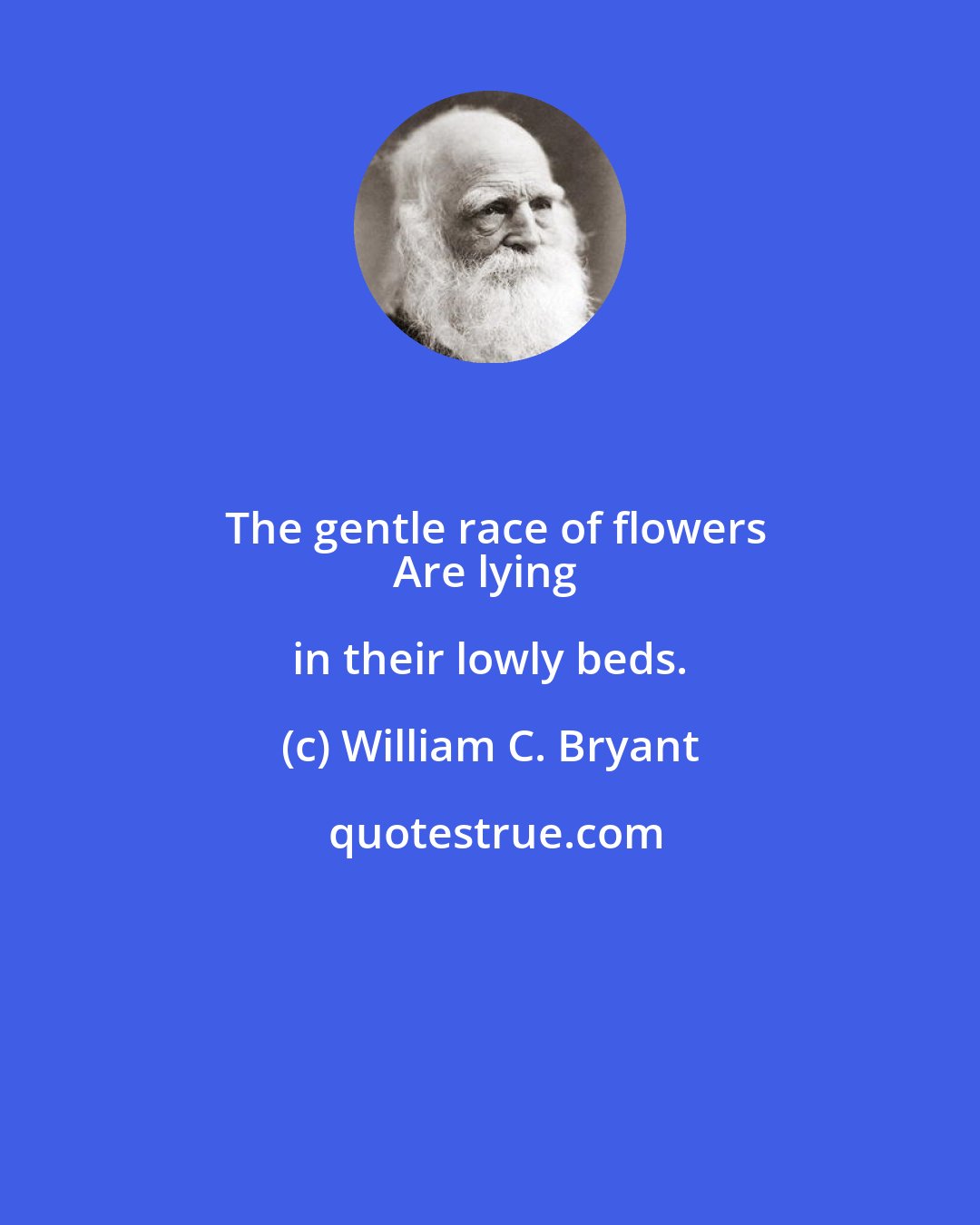 William C. Bryant: The gentle race of flowers
Are lying in their lowly beds.