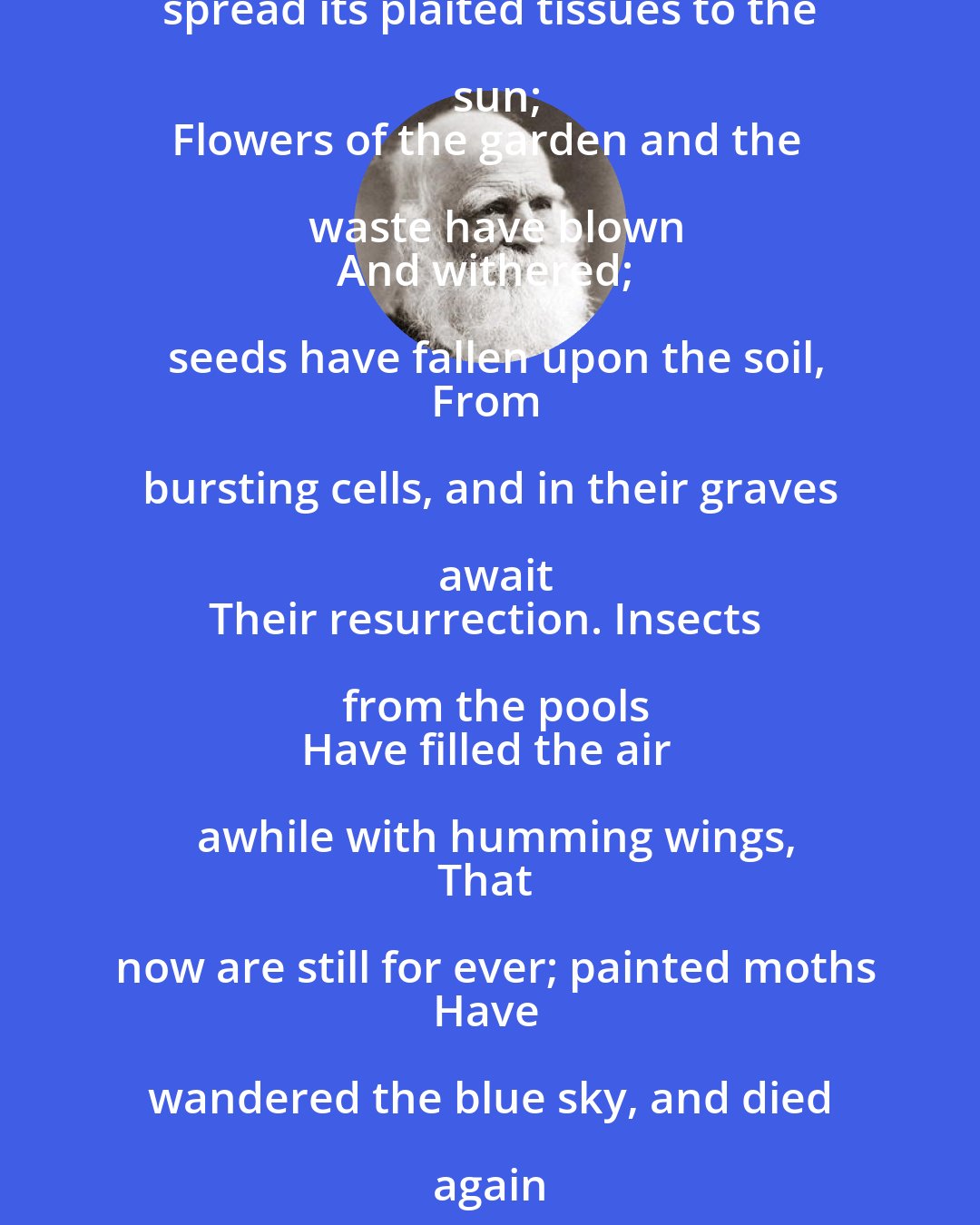 William C. Bryant: The summer day is closed - the sun is set:
Well they have done their office, those bright hours,
The latest of whose train goes softly out
In the red west. The green blade of the ground
Has risen, and herds have cropped it; the young twig
Has spread its plaited tissues to the sun;
Flowers of the garden and the waste have blown
And withered; seeds have fallen upon the soil,
From bursting cells, and in their graves await
Their resurrection. Insects from the pools
Have filled the air awhile with humming wings,
That now are still for ever; painted moths
Have wandered the blue sky, and died again