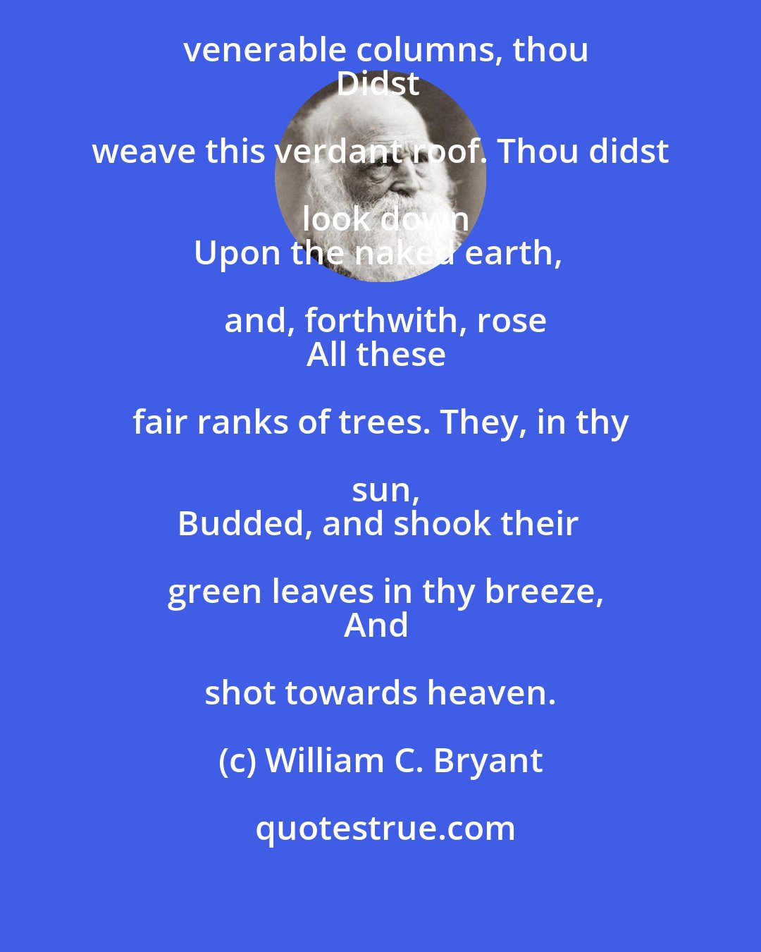 William C. Bryant: Father, thy hand
Hath reared these venerable columns, thou
Didst weave this verdant roof. Thou didst look down
Upon the naked earth, and, forthwith, rose
All these fair ranks of trees. They, in thy sun,
Budded, and shook their green leaves in thy breeze,
And shot towards heaven.