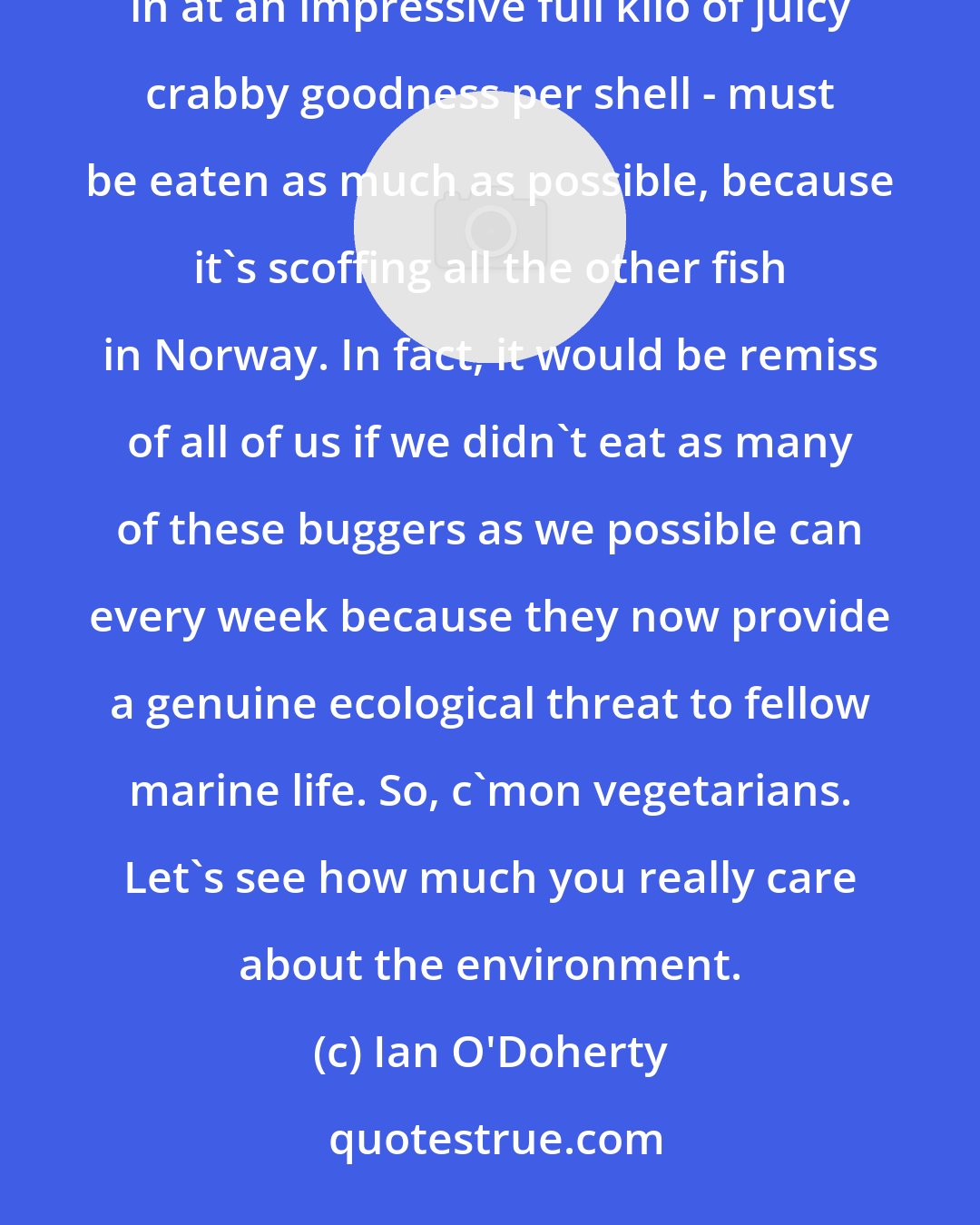 Ian O'Doherty: It turns out that conservationism can be fun, with the news that the Norwegian red king crab - which weighs in at an impressive full kilo of juicy crabby goodness per shell - must be eaten as much as possible, because it's scoffing all the other fish in Norway. In fact, it would be remiss of all of us if we didn't eat as many of these buggers as we possible can every week because they now provide a genuine ecological threat to fellow marine life. So, c'mon vegetarians. Let's see how much you really care about the environment.