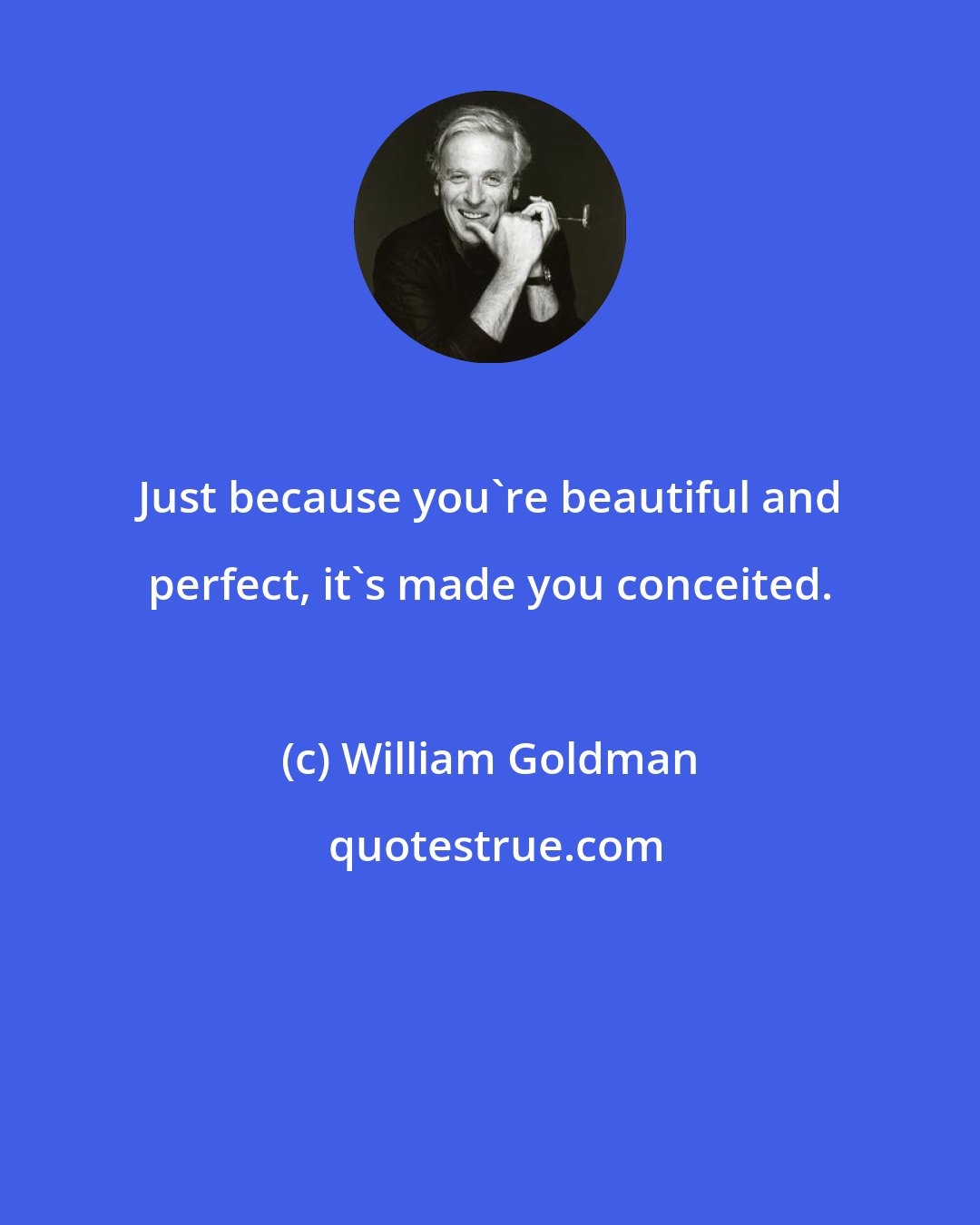 William Goldman: Just because you're beautiful and perfect, it's made you conceited.