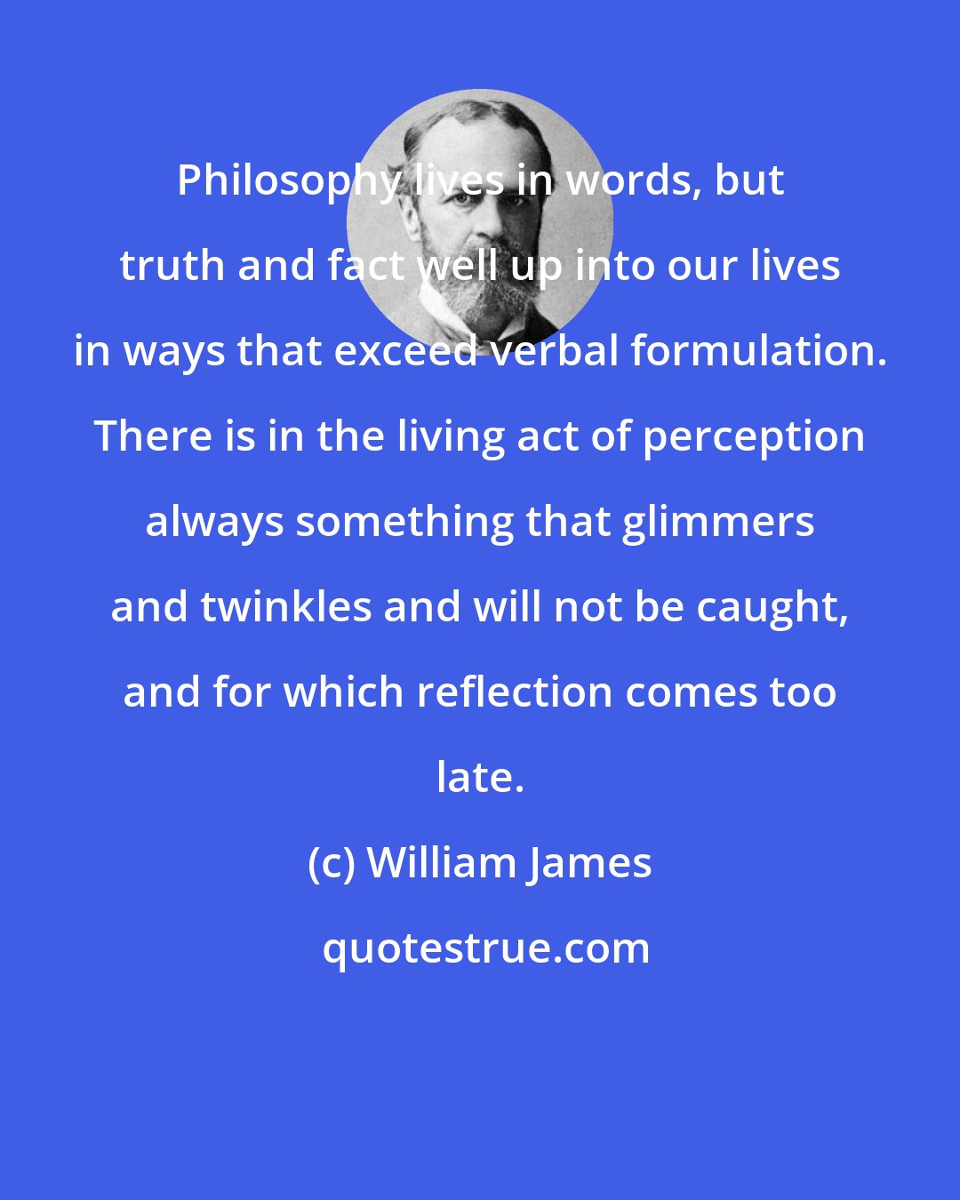 William James: Philosophy lives in words, but truth and fact well up into our lives in ways that exceed verbal formulation. There is in the living act of perception always something that glimmers and twinkles and will not be caught, and for which reflection comes too late.